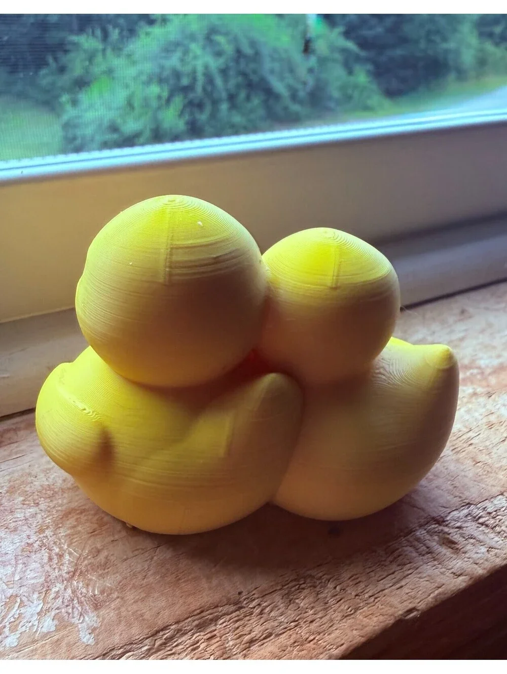 3d Printed Couples Ducks - Personalized - 2 1/5 Inch Tall